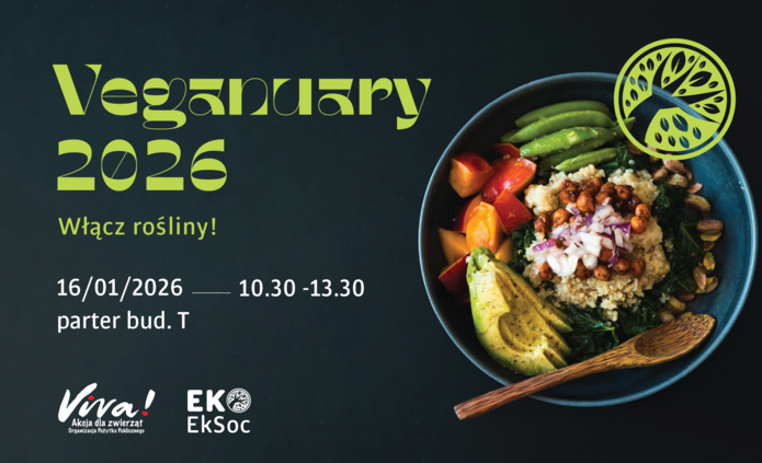 poster promoting the event