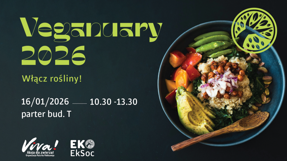 poster promoting the event