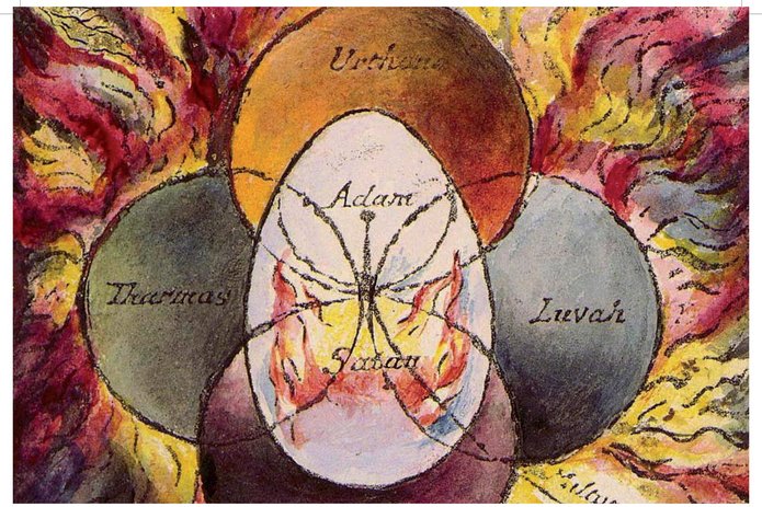 [Translate to English:] plakat wydarzenia- Can holobiont be considered an organism? - biologist and philosopher perspectives