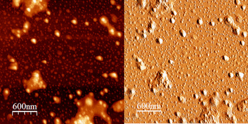 Struktura (PNG) Struktura