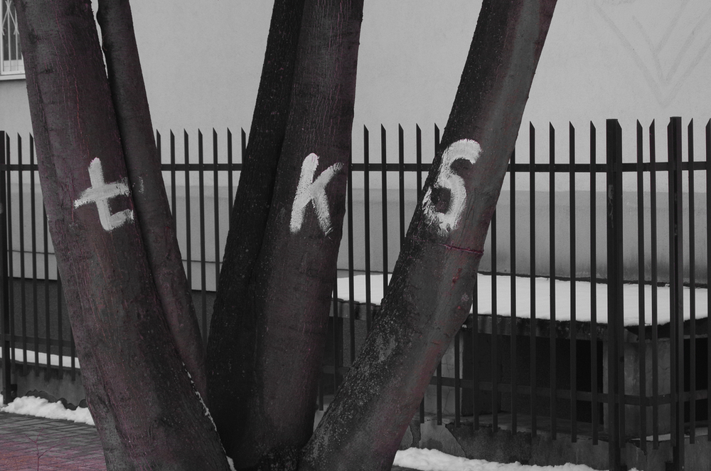 zdjęcie grafitti zdjęcie grafitti