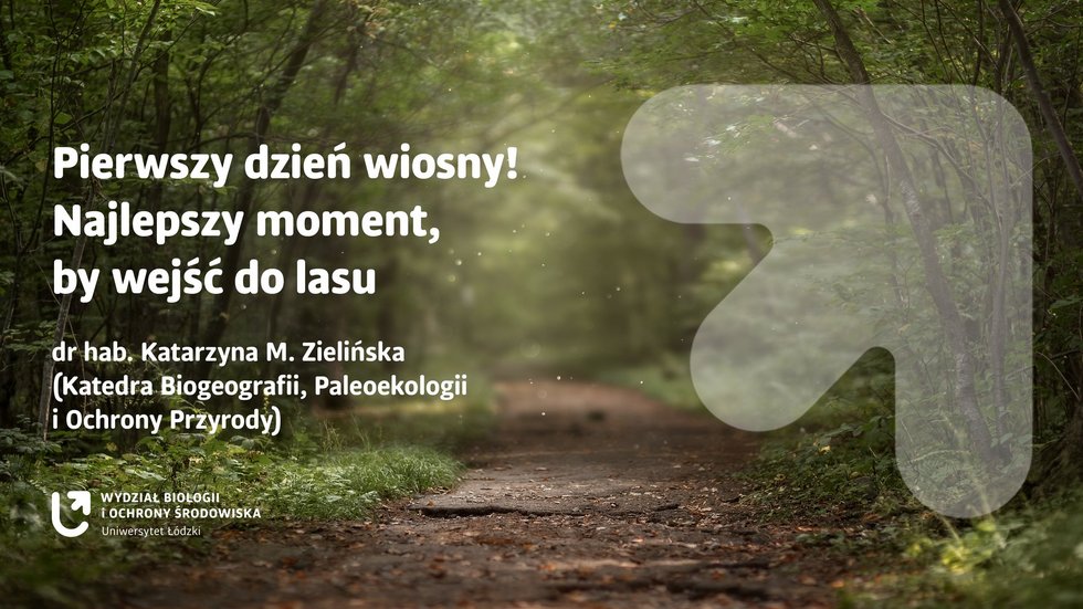 a graphic illustrating the text