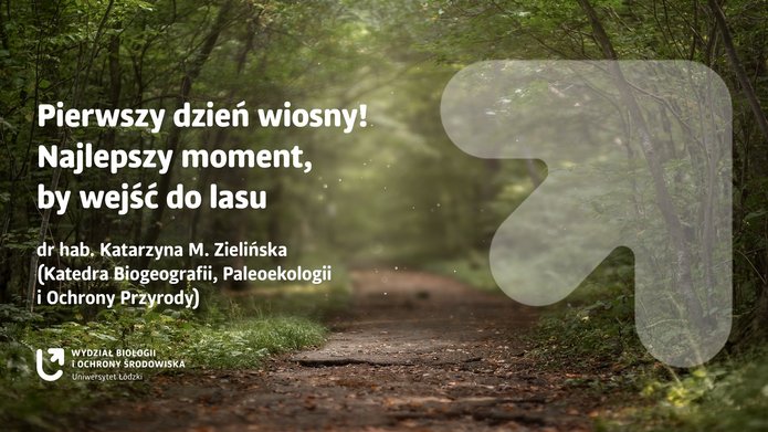 a graphic illustrating the text