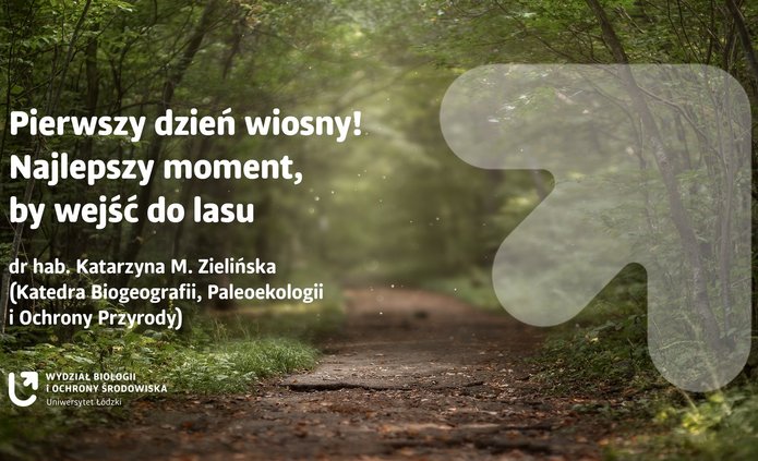 a graphic illustrating the text