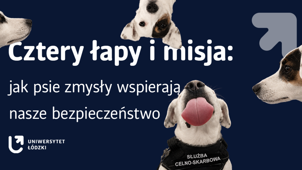 A graphic depicting four dogs wearing service vests, accompanied by the slogan “Four Paws and a Mission…”