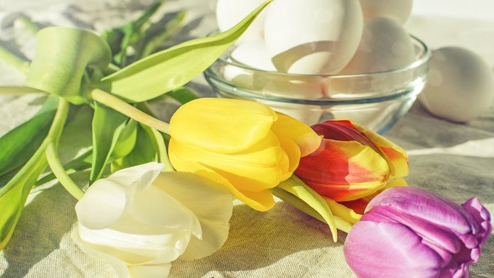 Kolorowe tulipany na stole wielkanocnym