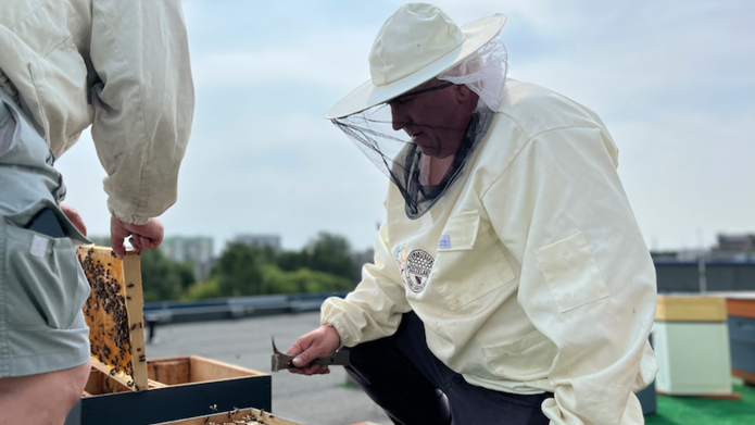 Beekeepers during installing new beehives on the roof of the University of Lodz Library