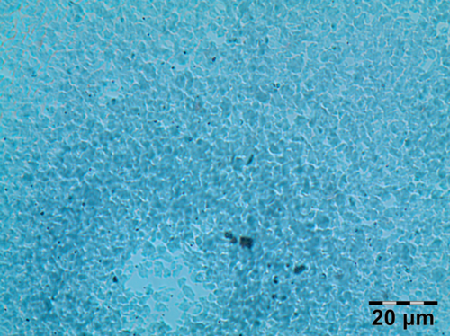 Pomiary (PNG) Pomiary