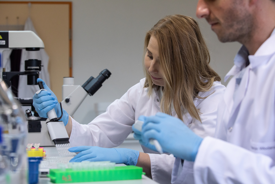 Biocomposites (a graphic) Biocomposites (a graphic)