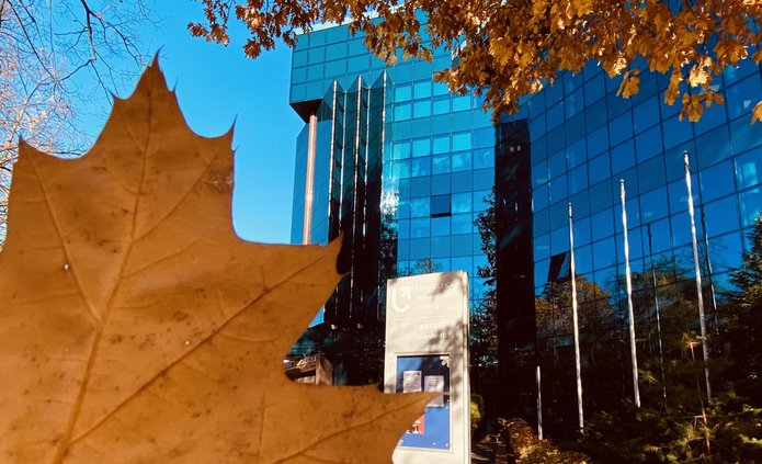 Na pierwszym planie pomarańczowy liść, w tle budynek Biblioteki UŁ.