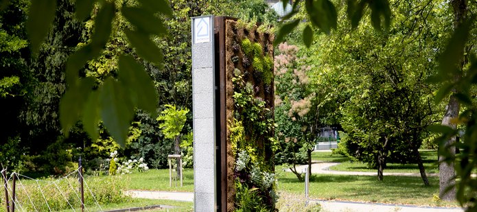 Zielona ściana porośnięta roślinami, stojąca w ogrodzie