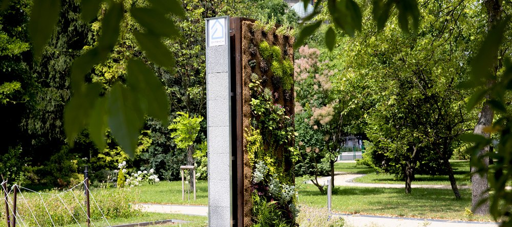 Zielona ściana porośnięta roślinami, stojąca w ogrodzie