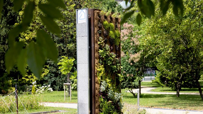 Zielona ściana porośnięta roślinami, stojąca w ogrodzie