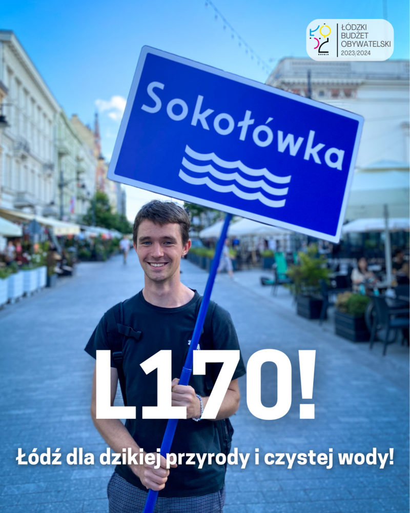 Projekt Jarosława Brodeckiego