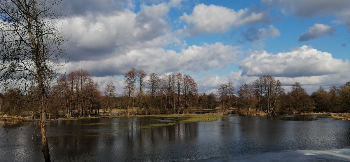 Kreskowy kod życia – biolodzy z UŁ badają rzekę Grabię
