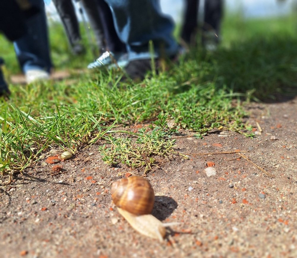 Seniorzy na wycieczce w dolinę Warty i Widawki