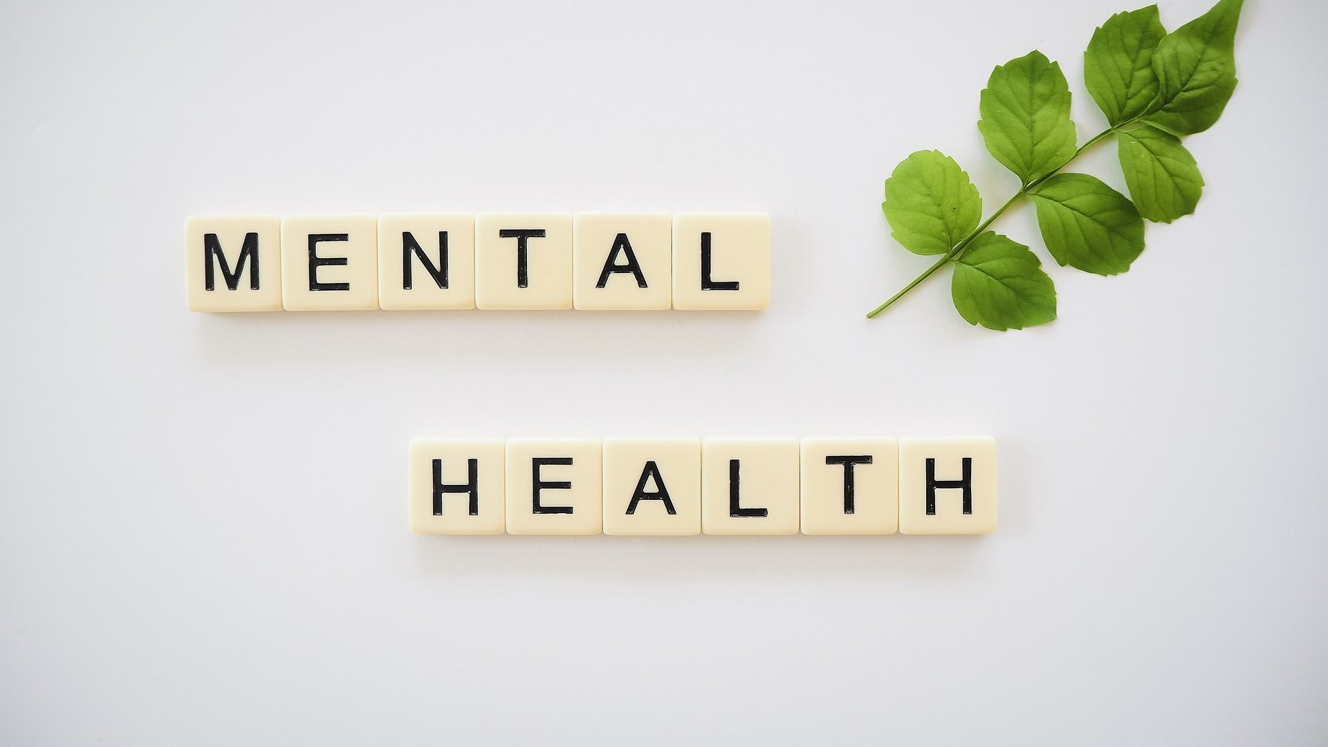 kolorowa grafika przedstawiająca napis o treści Mental Health; w prawym górnym rogu znajduje się zielona gałązka bazylii z siedmioma listkami