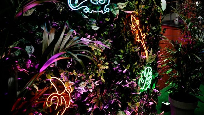 Jungle Web instalacja neonowa