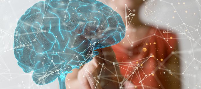 połączenia neuronowe w mózgu