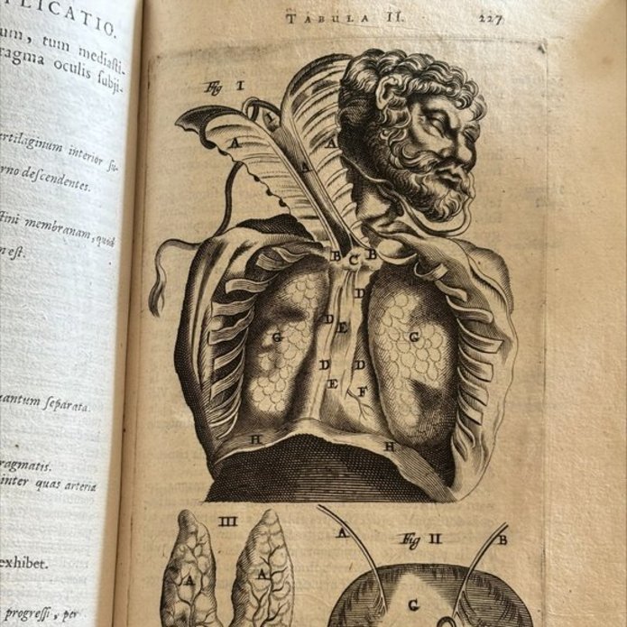 Karta ze starego atlasu anatomicznego, rycina przedstawia przekrój klatki piersiowej.