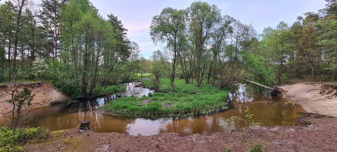 Zakole rzeki Grabi wśród drzew 