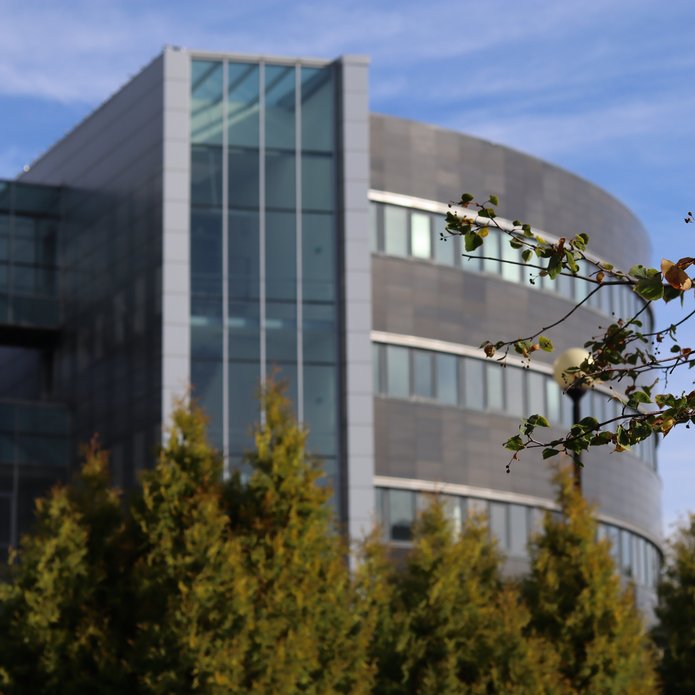 Budynek WPiA UŁ z drzewami na pierwszym planie.