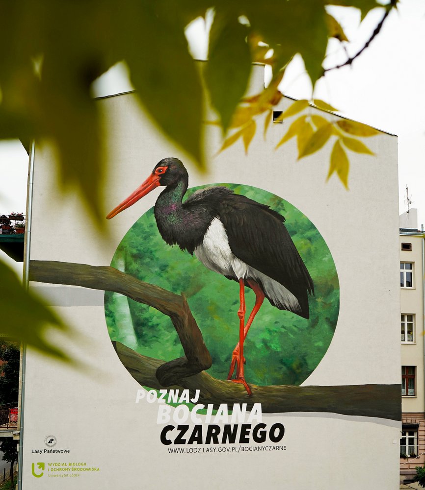 Mural z bocianem czarnym