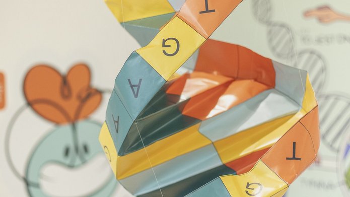 Art installation depicting the DNA chain