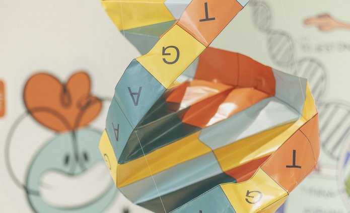 Art installation depicting the DNA chain