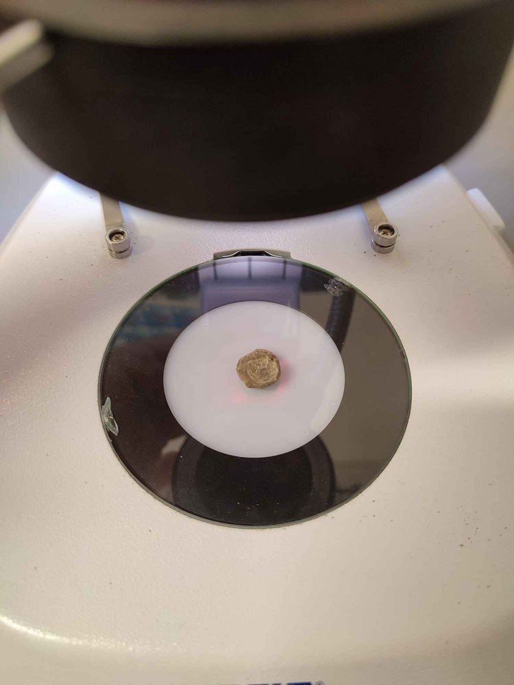 Znalezisko pod mikroskopem