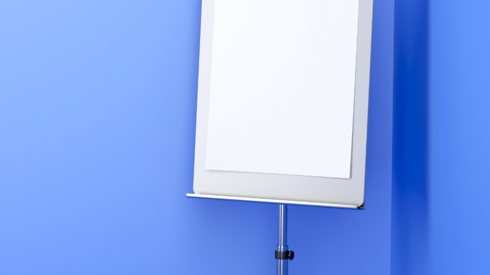 Program Praktyk Szkoleniowych