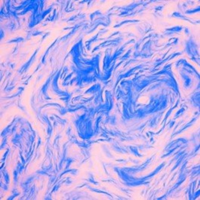 fotografia mikroskopowa