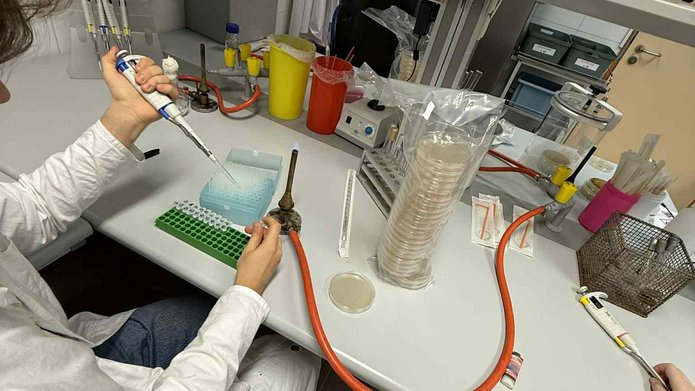 working in a lab