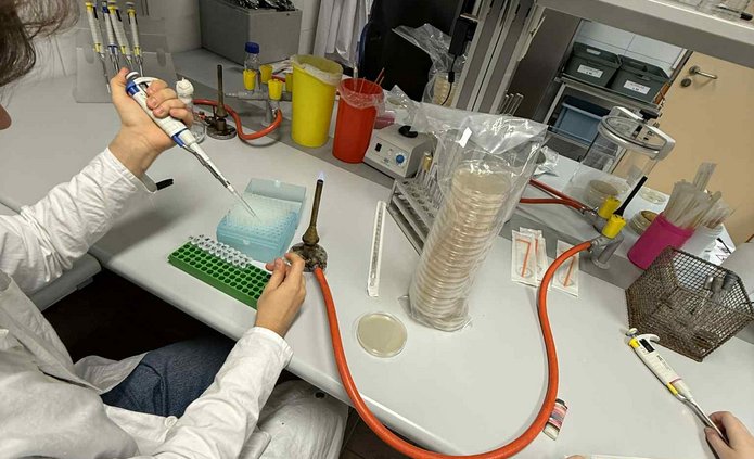 working in a lab