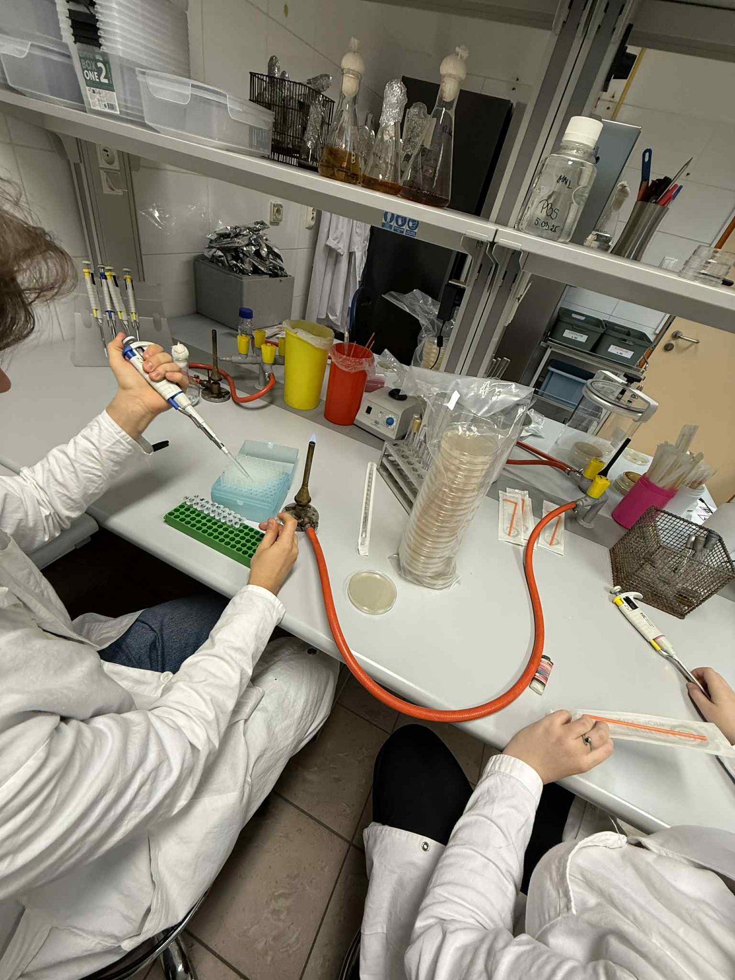 praca w laboratorium