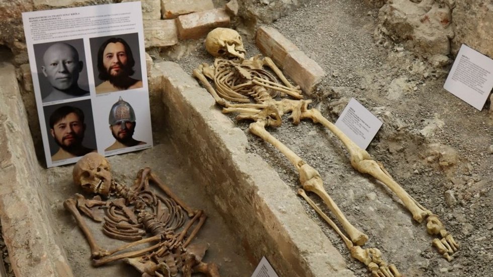 human remains