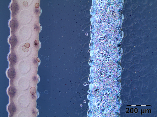 Podsumowanie (PNG) Podsumowanie