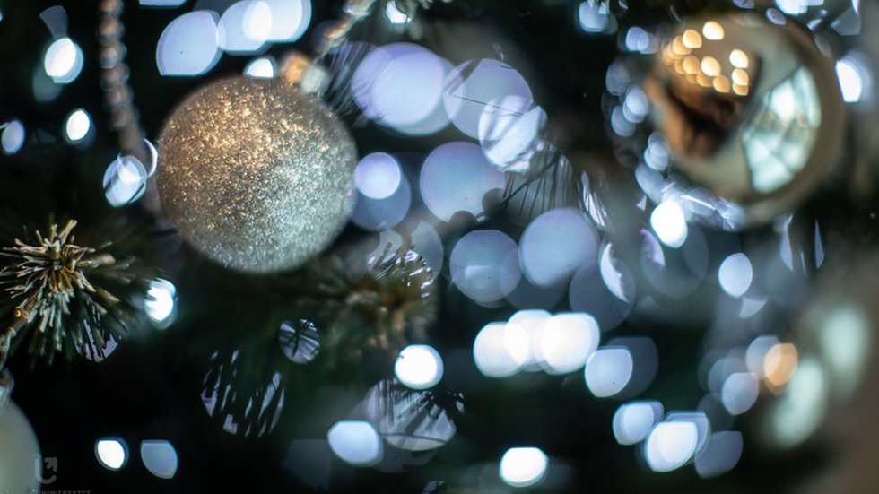 Photo: University of Lodz