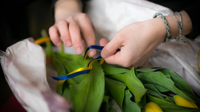 Bukiet tulipanów z wstążką w kolorach flagi Ukrainy