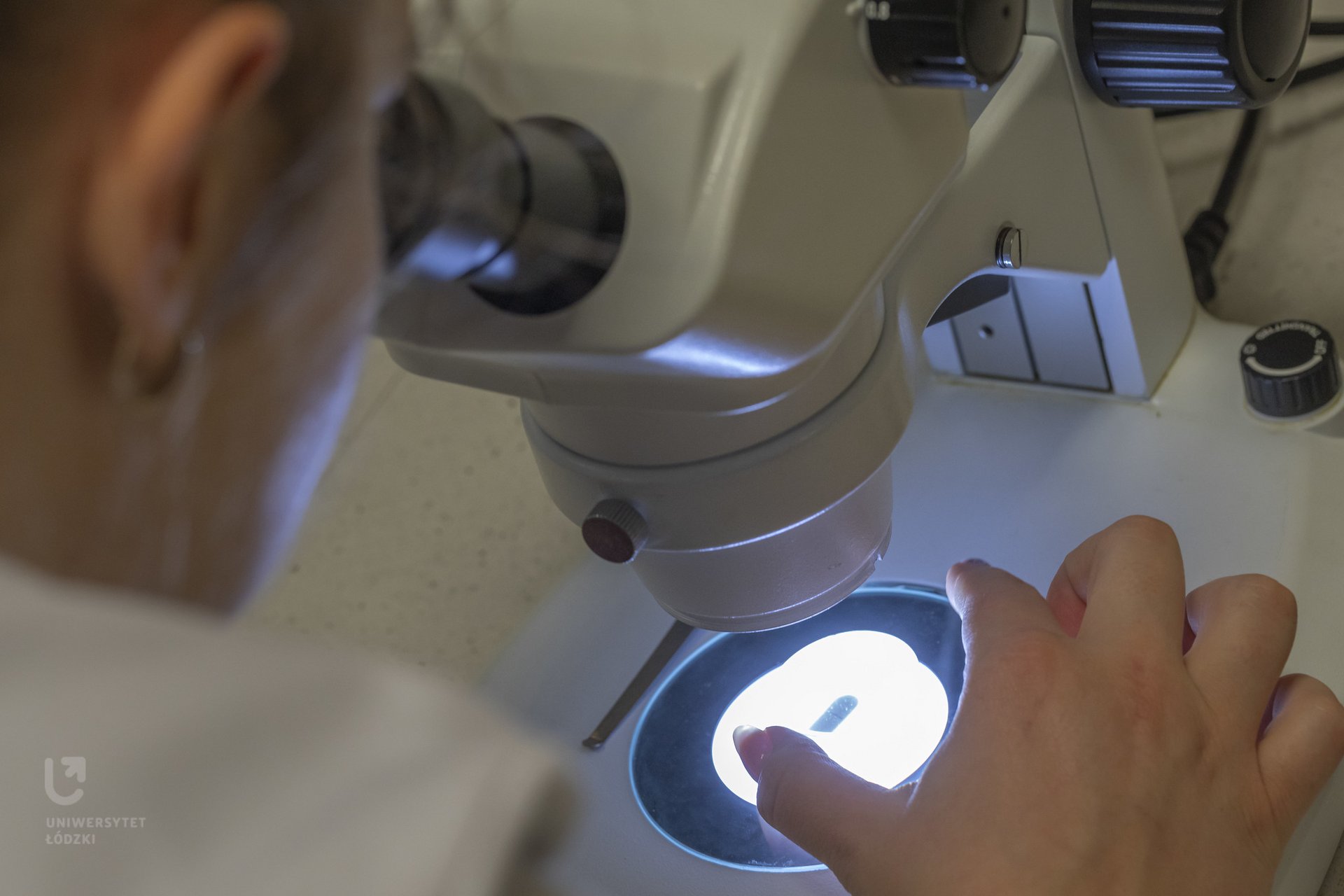 a person working at a microscope