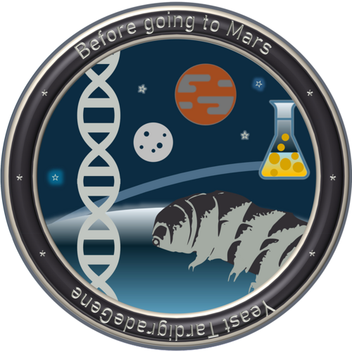 Eksperymenty w kosmosie - logo