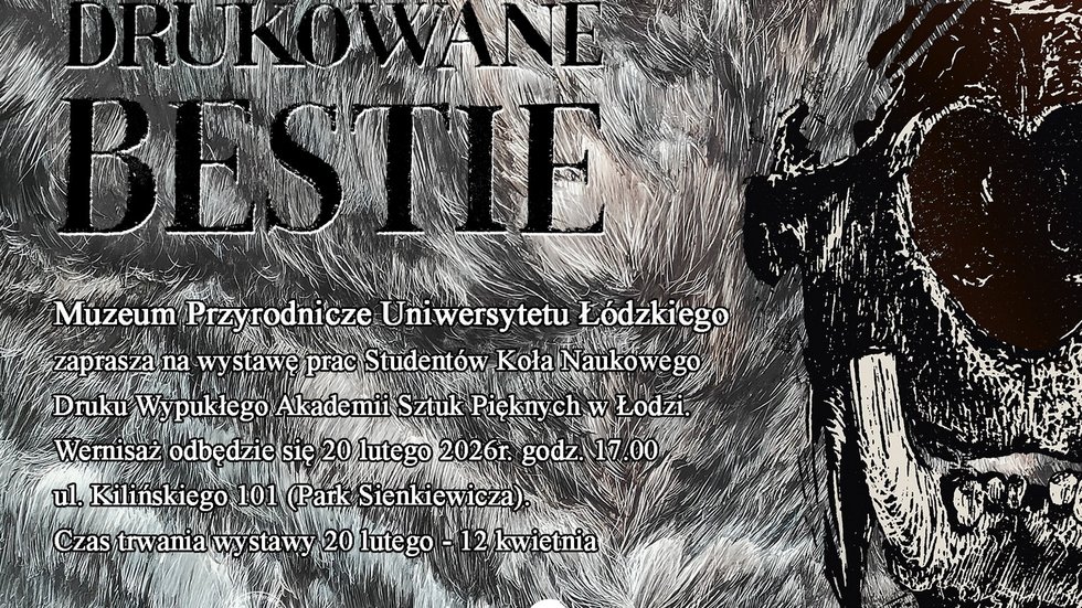 Information graphic about the exhibition