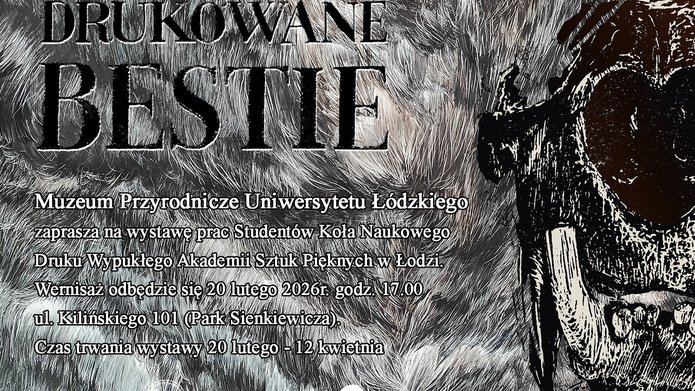 Information graphic about the exhibition