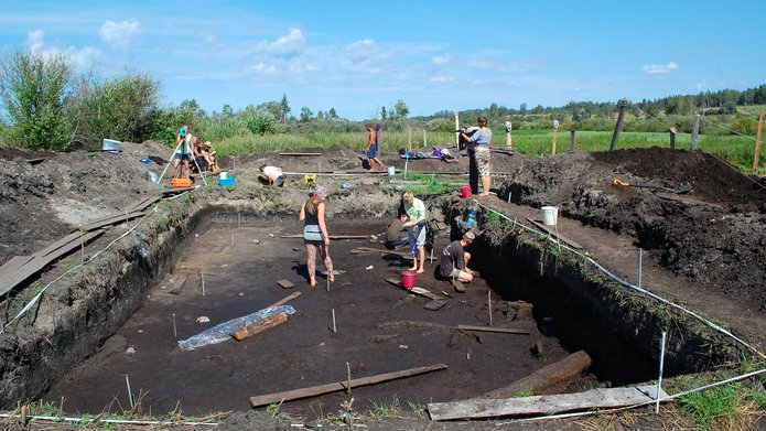 research team in the field