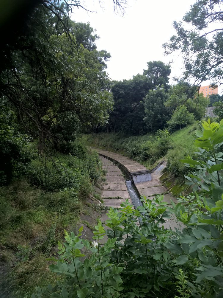 Rzeka Jasień w betonowym korycie