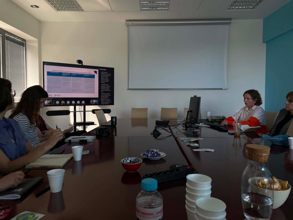 still from one of the meetings