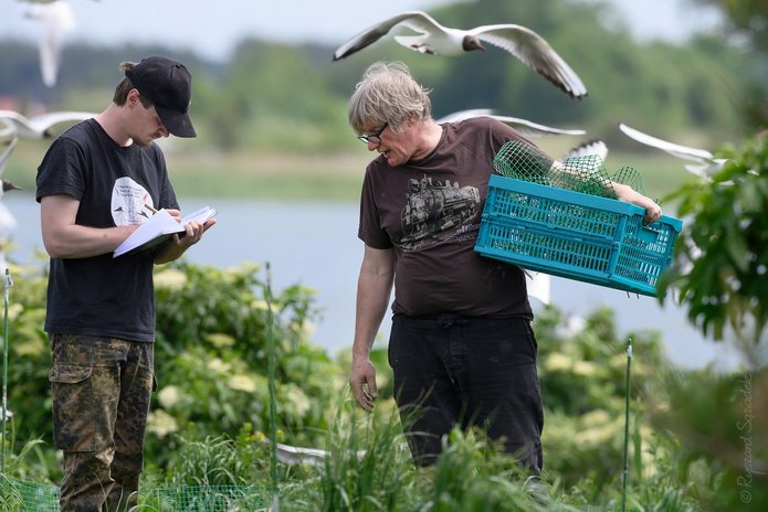 Scientists working for protection of nature