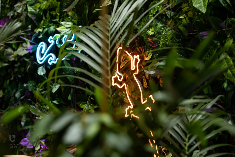 instalacja neonowa