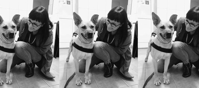 Dyrektor Schroniska dla Zwierząt w Łodzi wraz z psem