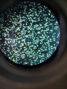  Zdjęcia kryształów spod mikroskopu z polaryzacją